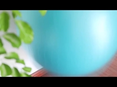 공기 펌프 운동 공 운동 장비 요가 공을 가진 Pvc 폭발 방지 적당 45cm 요가 공